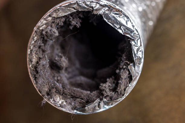 Best Air Duct Inspection  in Shasta, CA
