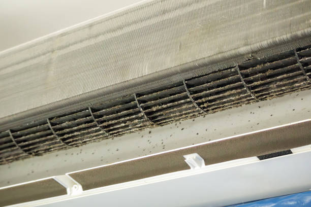 Best HVAC Air Duct Cleaning  in Shasta, CA
